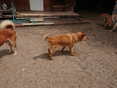 f:id:roukenhome-ann:20190529170616j:plain