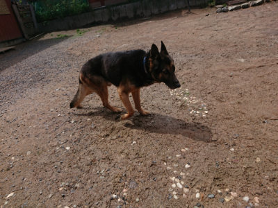 f:id:roukenhome-ann:20190529170730j:plain