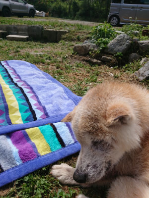 f:id:roukenhome-ann:20190529182852j:plain