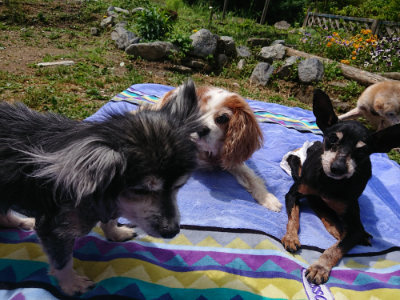 f:id:roukenhome-ann:20190529182951j:plain