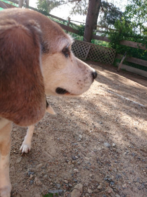f:id:roukenhome-ann:20190529184330j:plain