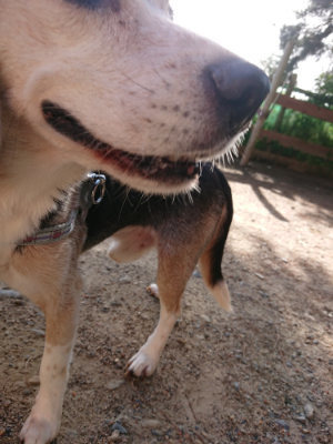 f:id:roukenhome-ann:20190529184404j:plain