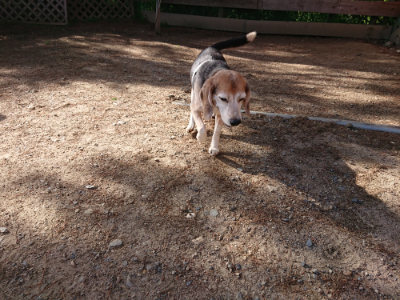 f:id:roukenhome-ann:20190529184426j:plain