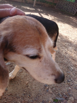 f:id:roukenhome-ann:20190529184514j:plain