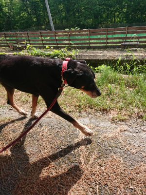 f:id:roukenhome-ann:20190531084319j:plain