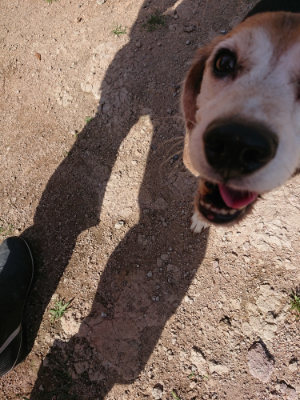 f:id:roukenhome-ann:20190531084418j:plain