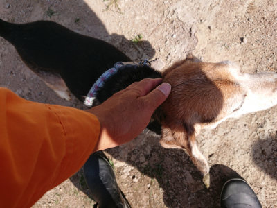 f:id:roukenhome-ann:20190531084438j:plain