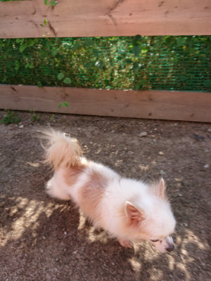 f:id:roukenhome-ann:20190531084452j:plain