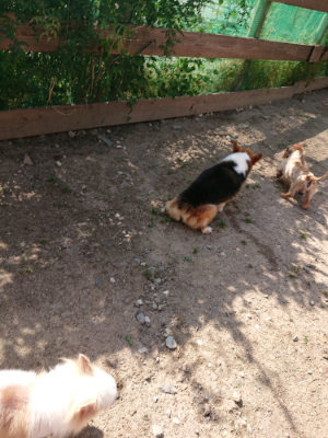 f:id:roukenhome-ann:20190531084456j:plain