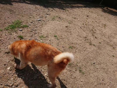 f:id:roukenhome-ann:20190531084532j:plain
