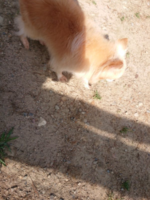 f:id:roukenhome-ann:20190531084619j:plain