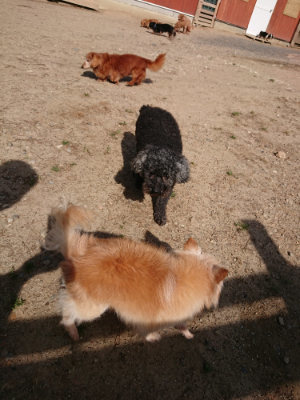 f:id:roukenhome-ann:20190531084644j:plain