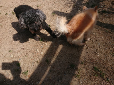 f:id:roukenhome-ann:20190531084700j:plain