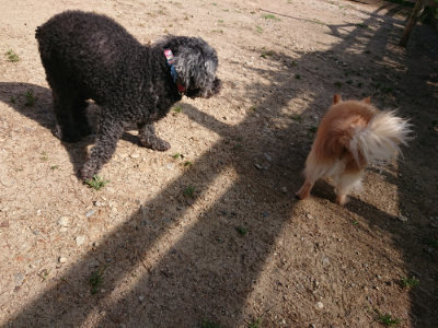 f:id:roukenhome-ann:20190531084706j:plain