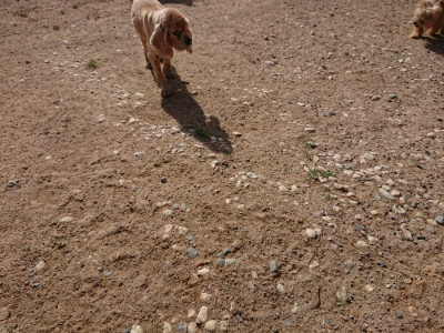 f:id:roukenhome-ann:20190531105536j:plain