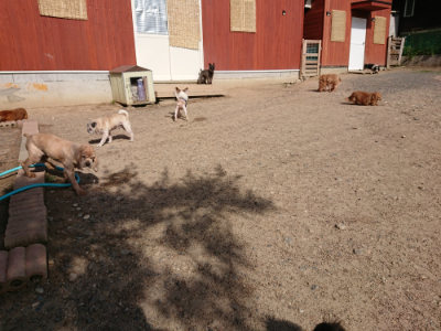f:id:roukenhome-ann:20190531105719j:plain