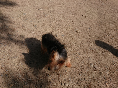 f:id:roukenhome-ann:20190531105725j:plain