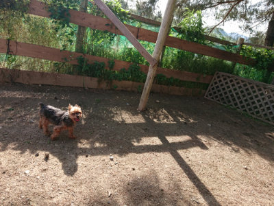 f:id:roukenhome-ann:20190531105744j:plain