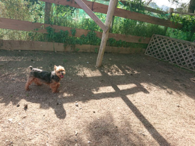f:id:roukenhome-ann:20190531105800j:plain