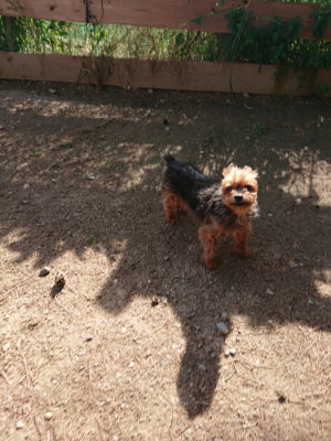 f:id:roukenhome-ann:20190531105806j:plain