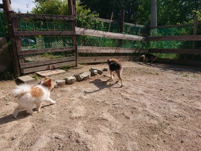f:id:roukenhome-ann:20190531105851j:plain