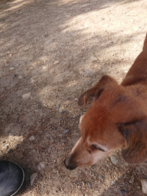 f:id:roukenhome-ann:20190531105902j:plain