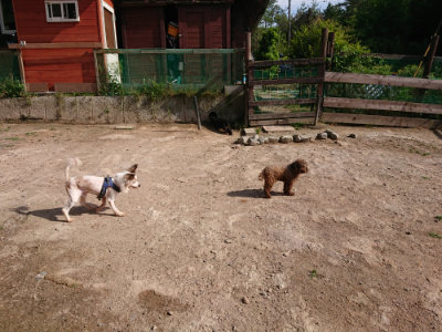 f:id:roukenhome-ann:20190531105941j:plain