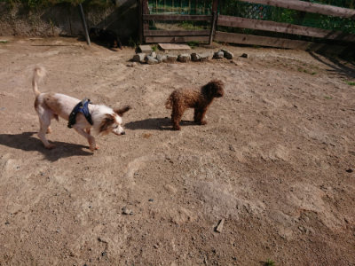 f:id:roukenhome-ann:20190531105948j:plain