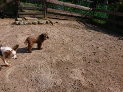 f:id:roukenhome-ann:20190531110003j:plain