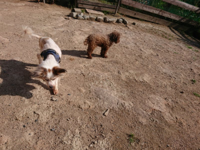 f:id:roukenhome-ann:20190531110009j:plain