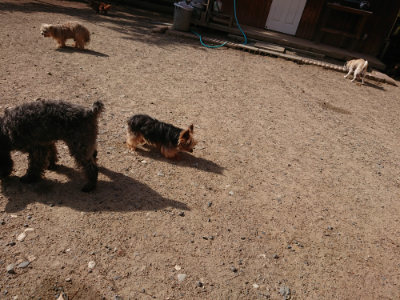 f:id:roukenhome-ann:20190531110033j:plain