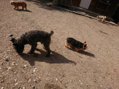 f:id:roukenhome-ann:20190531110049j:plain