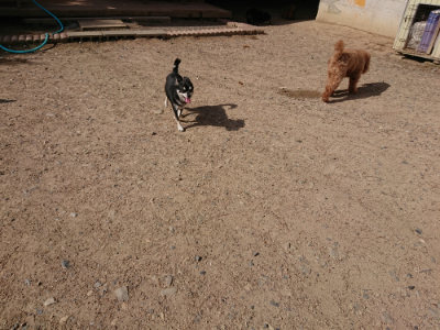 f:id:roukenhome-ann:20190531110857j:plain