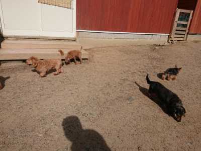 f:id:roukenhome-ann:20190531110942j:plain