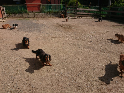 f:id:roukenhome-ann:20190531111055j:plain