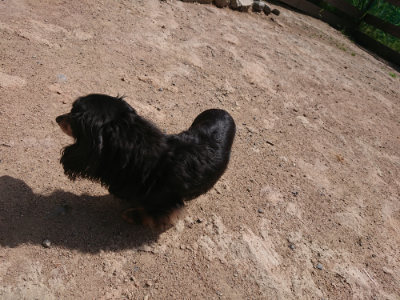 f:id:roukenhome-ann:20190531111233j:plain