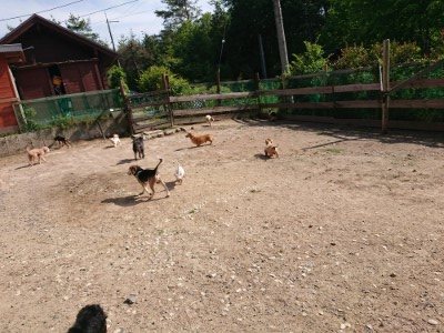 f:id:roukenhome-ann:20190531111237j:plain