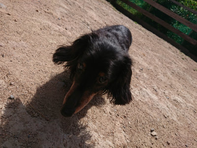 f:id:roukenhome-ann:20190531111301j:plain