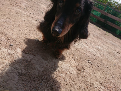 f:id:roukenhome-ann:20190531111306j:plain