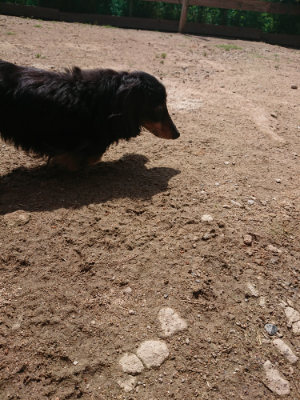 f:id:roukenhome-ann:20190531111331j:plain