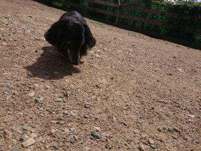 f:id:roukenhome-ann:20190531111341j:plain