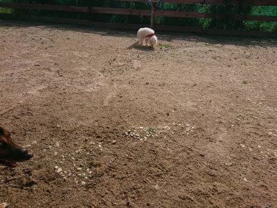 f:id:roukenhome-ann:20190531111608j:plain