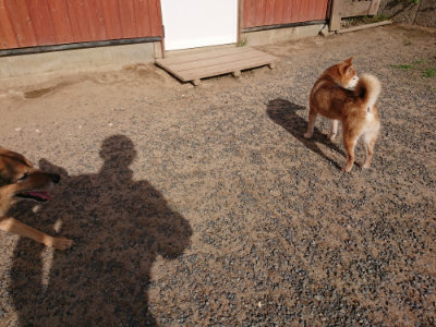 f:id:roukenhome-ann:20190531111613j:plain