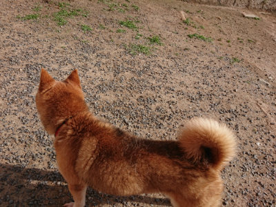 f:id:roukenhome-ann:20190531111646j:plain