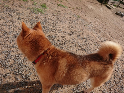 f:id:roukenhome-ann:20190531111652j:plain