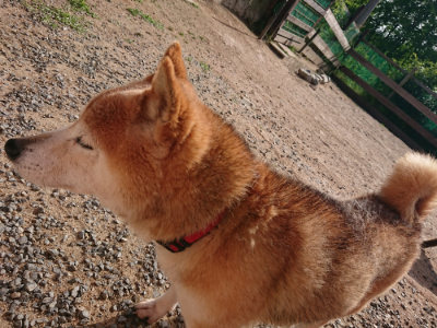 f:id:roukenhome-ann:20190531111700j:plain