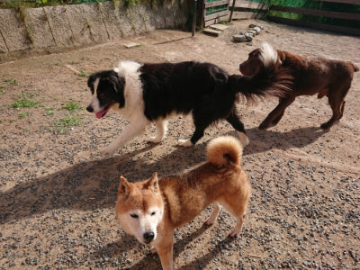 f:id:roukenhome-ann:20190531111719j:plain