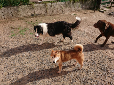 f:id:roukenhome-ann:20190531111725j:plain