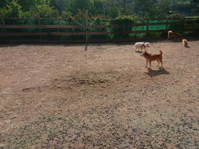 f:id:roukenhome-ann:20190531111739j:plain