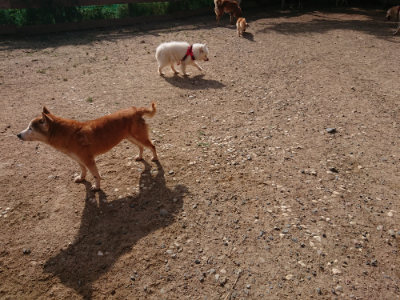 f:id:roukenhome-ann:20190531111820j:plain